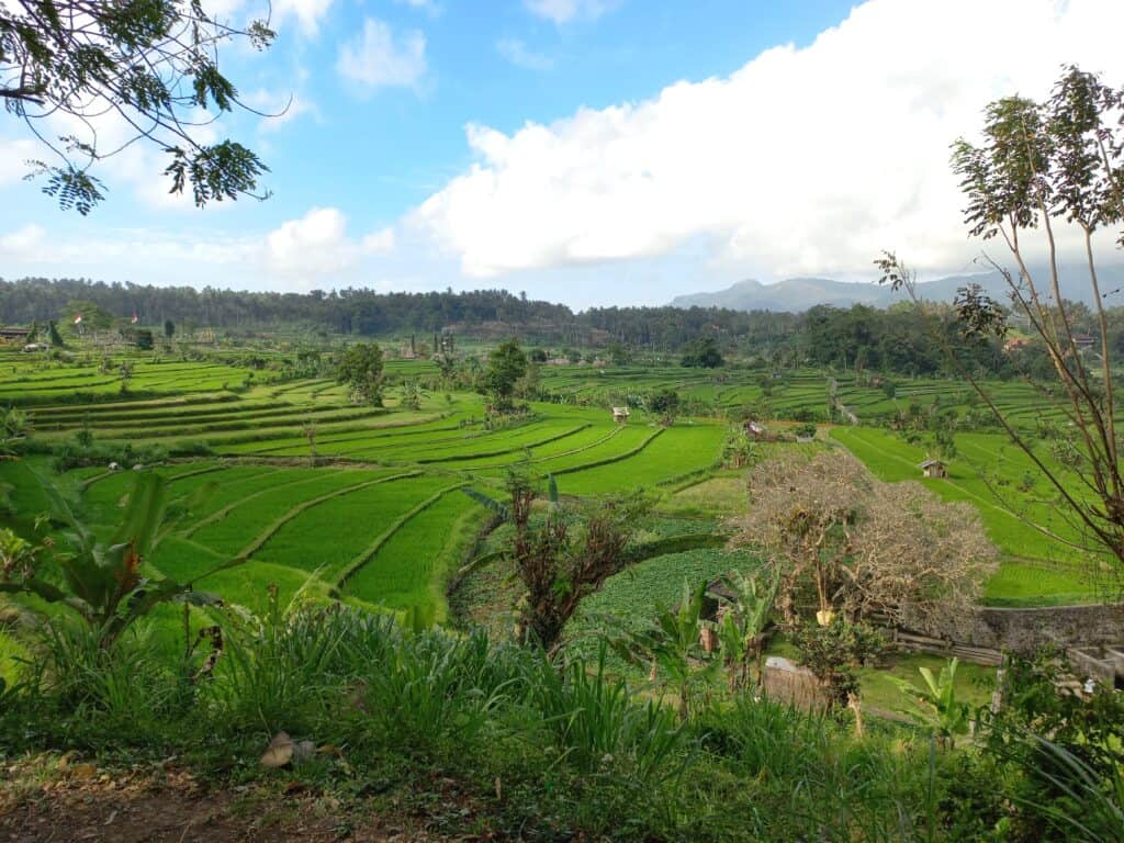 Ceny na Bali 2025